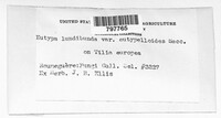 Eutypa ludibunda image